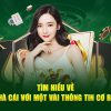 bk8-Tận hưởng các phần thưởng đặc biệt từ nhà cái!